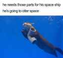 otter space