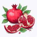 pomegranates-leaves-drawn-pencils-white-background-showcase-vibrant-colored-cartoon-style-dark-cyan-light-307107421