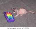 137 KB