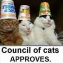 catcouncil