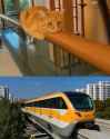 catmaglev copy