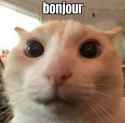 bonjour_man