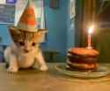 Me bc birthday