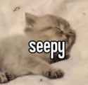 seepy