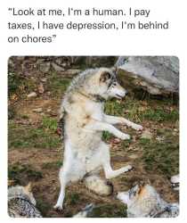 1747351321932142