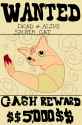 wanted.shrat