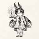 moth
