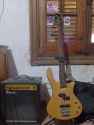 watashi no my bass