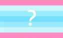 hello-someone-requested-trans-questioning-flags-i-dont-know-v0-jondbk9p729a1