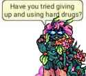plampts advice