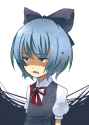 cirno_121