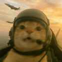 aa44e929253887157b72c57b92526dd7