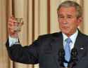 dubya