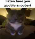 snoobi gooberd