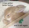 better