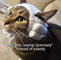 FB_IMG_1749950443337