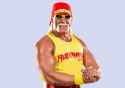 Hulk_Hogan_pro