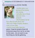 Screenshot_20250707_162650_Firefox