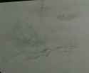 Screenshot from 2025-07-09 21-18-08