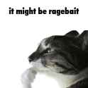 it-might-be-ragebait