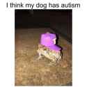 1526343145053