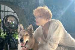 me(wolf)