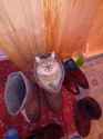 c3cdf78852fc389901b7d74d14510314