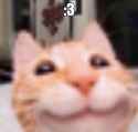 34 KB
