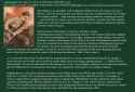 306 KB