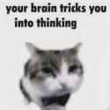 25 KB