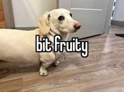 59 KB
