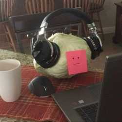 59 KB