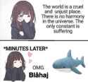 75 KB
