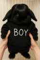 197 KB