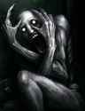 21 KB