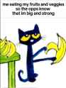 38 KB