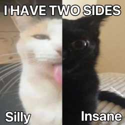 125 KB