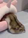 469 KB