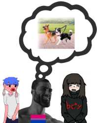 254 KB