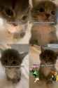 73 KB