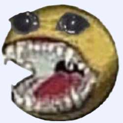 244 KB