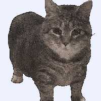 347 KB