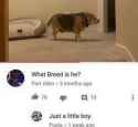 101 KB