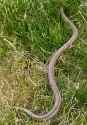 548 KB
