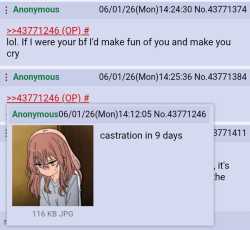 194 KB