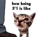 57 KB