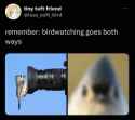 28 KB