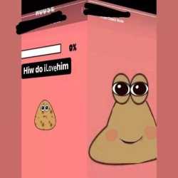 270 KB