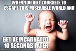 56 KB