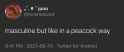 24 KB